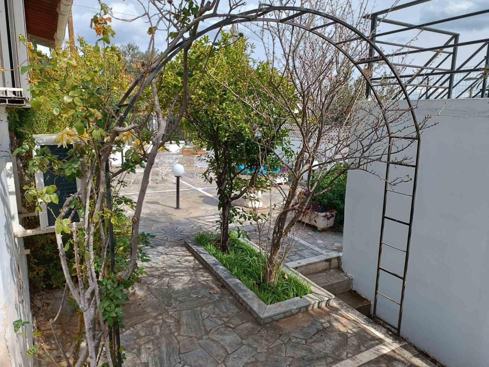 Villa Oli'S Sea House à Salamine Extérieur photo
